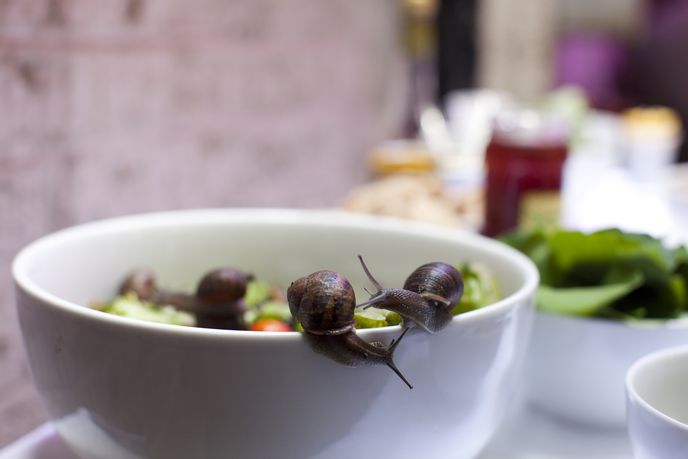 Food and Drinks Futures Forum