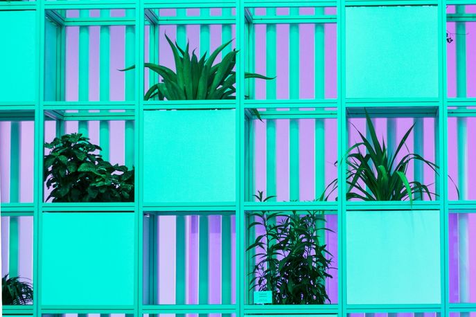 Pharmacafé by Bompas and Parr, Dubai
