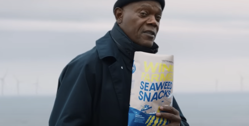 Vattenfall and Samuel L Jackson’s seaweed snack is grown on wind farms