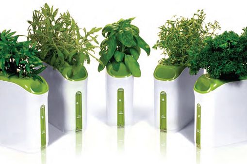 Mini Garden by Prepara