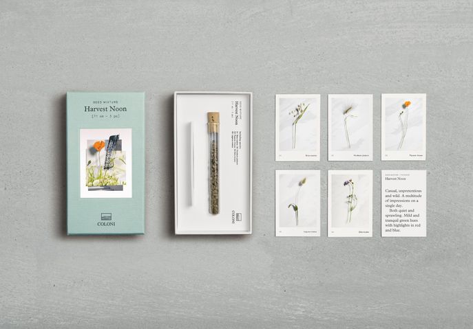 Coloni ss14 seed collection