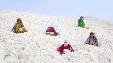 Thought-starter: Can traceable cotton change lives?