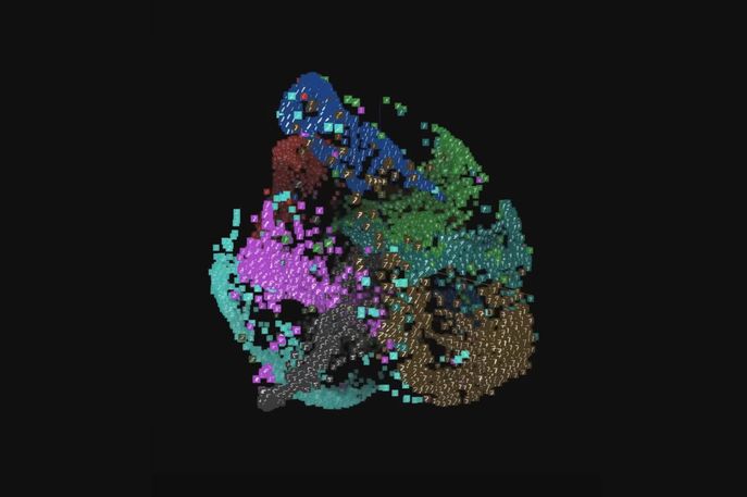 Visualising High-Dimensional Data by Daniel Smilkov, Fernanda Viégas, Martin Wattenberg and Google Big Picture team, US