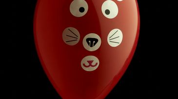 Animal charm: Party pack plays the health card