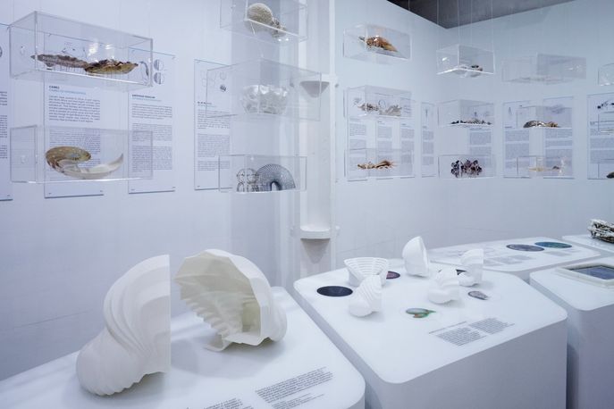 Designing with Nature exhibition