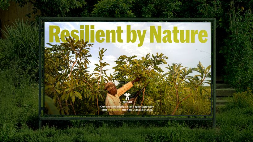 Tree Aid's Resilient by Nature campaign, Africa