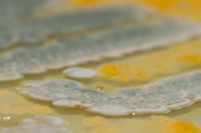 Lemz Agency and Netherlands Nutrition Centre, Food Poisoning Campaign
