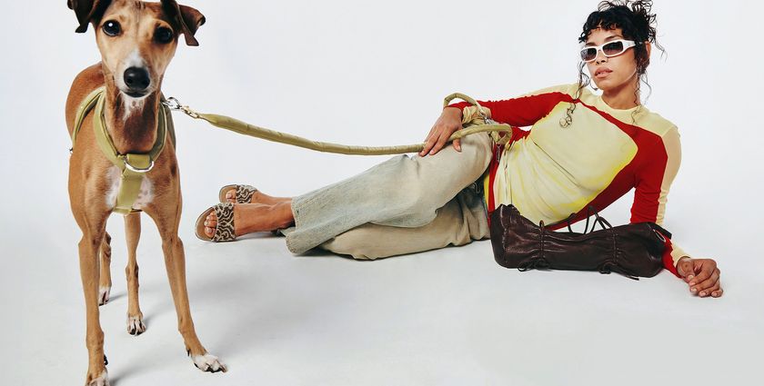 Lunge elevates luxury pet accessories with fashionable brand identity