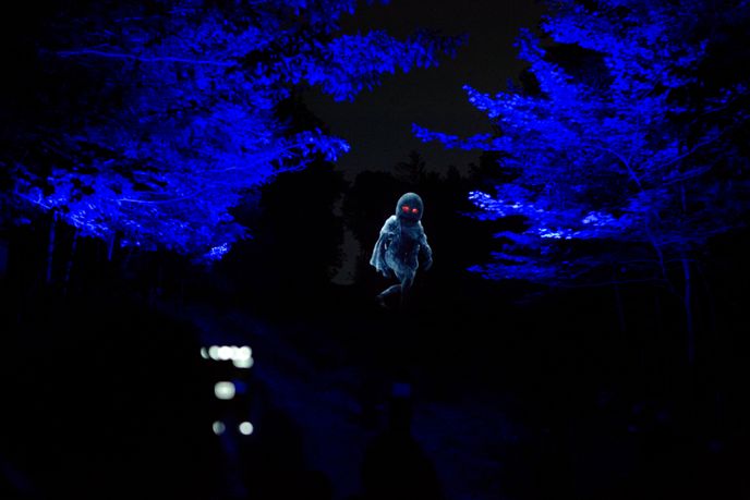 Forest Lumina by Moment Factory, Quebec