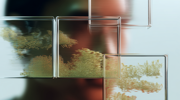 Sustainability is Dead