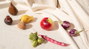 A degrowth manifesto for food over-consumption