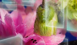 RSVP: Future Forecast 2026 On-demand Webinar 