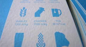 Greenwash: the new whitewash