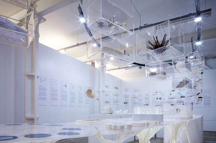 Designing with Nature exhibition, courtesy of Daniel Hewitt