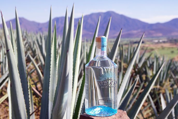 Volcán de mi Tierra Tequila by Moet Hennessy, Mexico