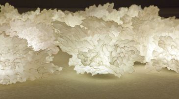 Star bright: New membrane installation explores light