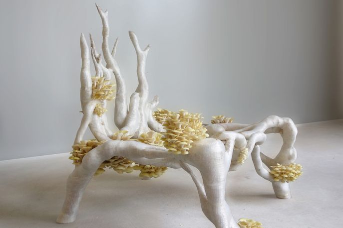 Mycelium Chair by Eric Klarenbeek