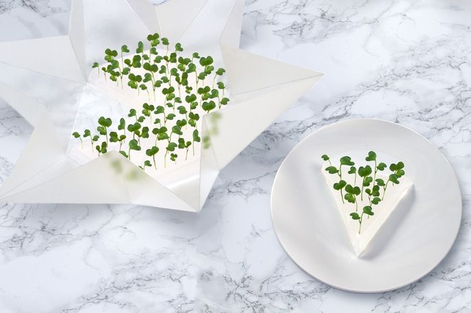 Microgarden Growing Kit by Tomorrowmachine