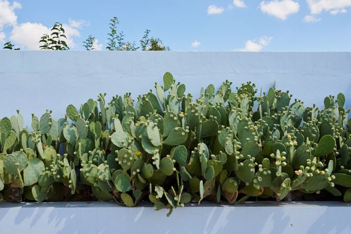 The Capri, Marfa