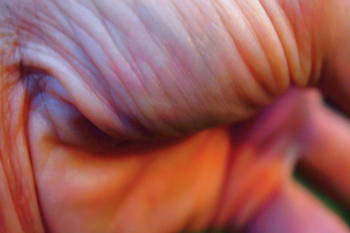 Pipilotti Rist, Worry Will Vanish, London