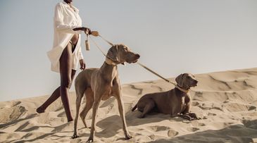 Pagerie’s premium petcare lures dog-loving luxurians