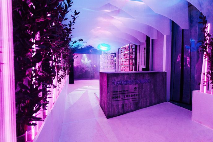 Future House by Adidas, London