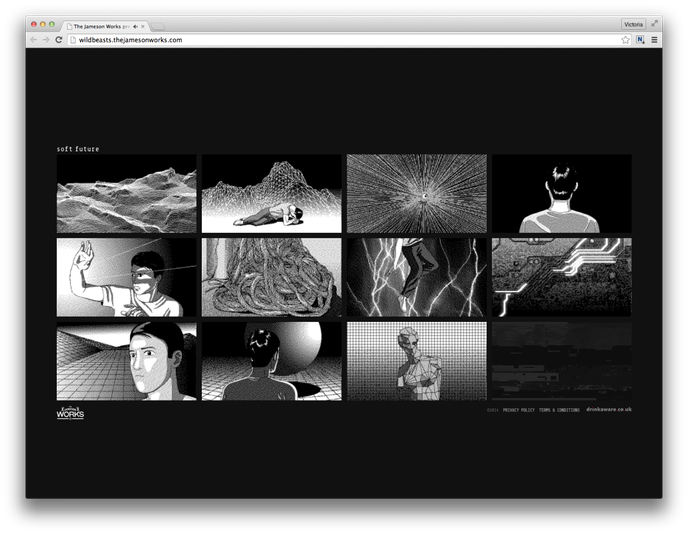 Wild Beasts x Mattis Dovier for Jameson Works