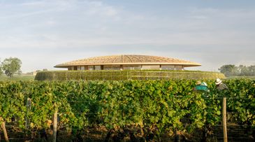 This sustainability coalition is future-proofing wineries