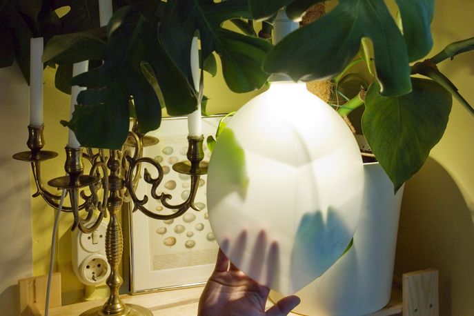 Booo! lights by FormaFantasma