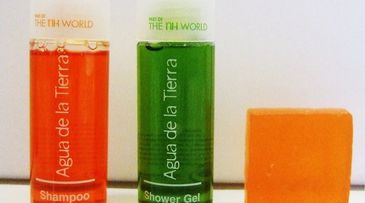 Eco-strategy gels at European hotel group